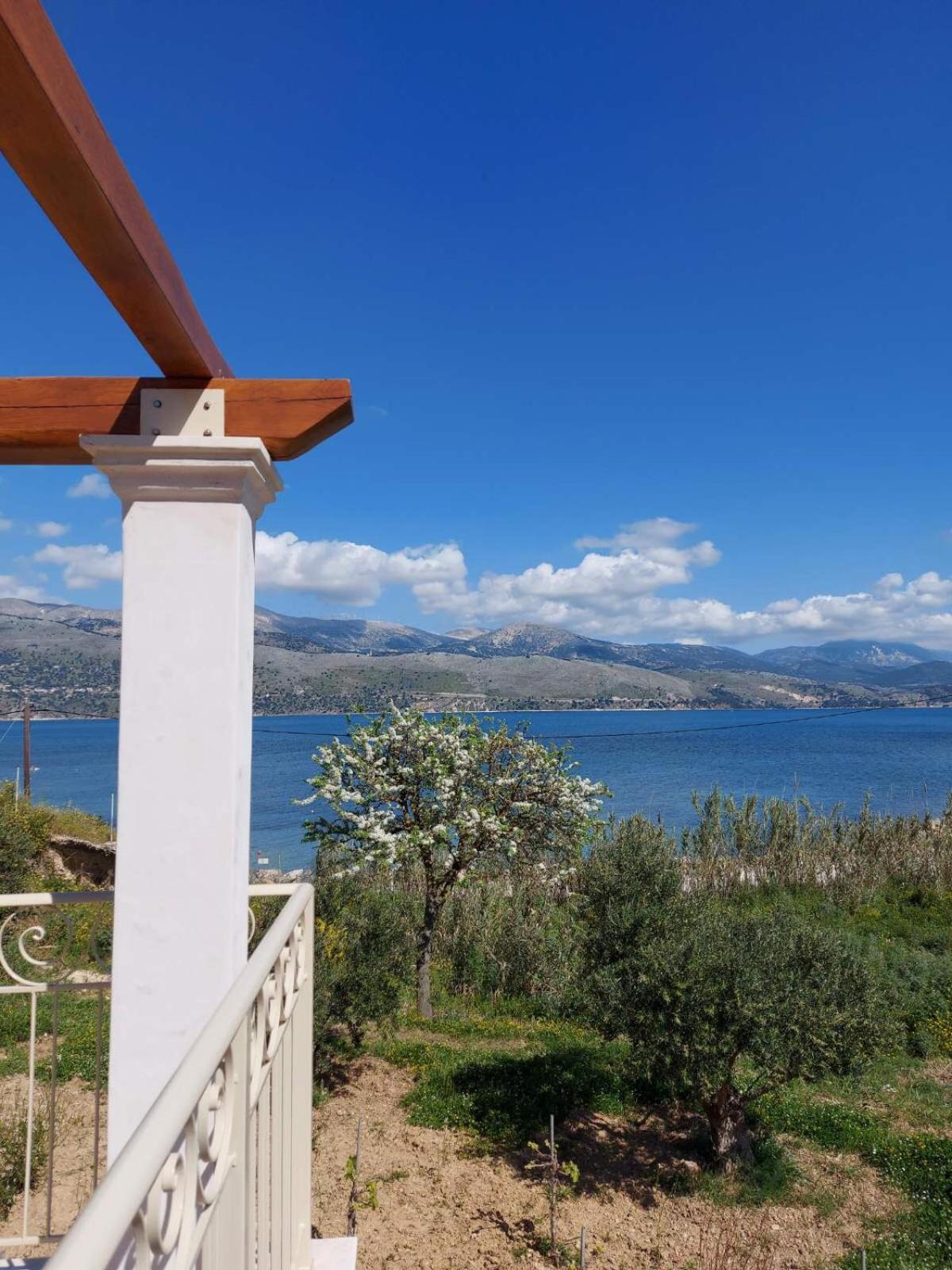 Apollonides Seafront Villa 2 Melete Lixouri Exteriér fotografie