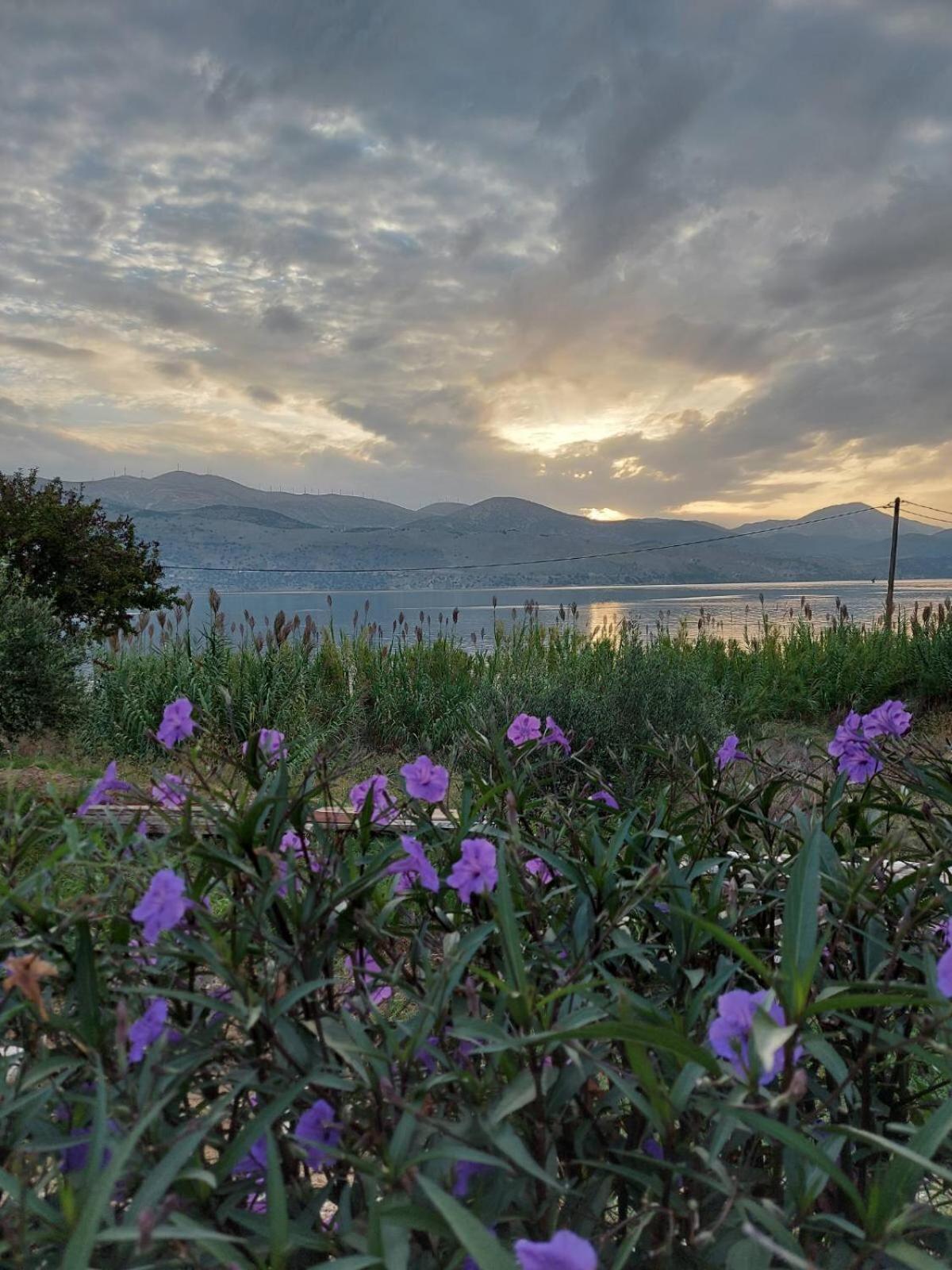 Apollonides Seafront Villa 2 Melete Lixouri Exteriér fotografie
